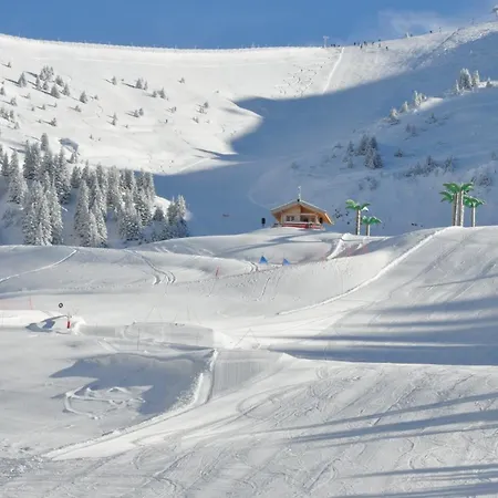 Nan116 - Duplex 4-6 Pers Face A La Telecabine Lejlighed Les Carroz d'Araches